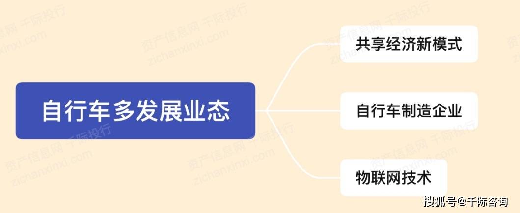 2024年中国自乐鱼(中国)体育行车行业研究报告(图7)