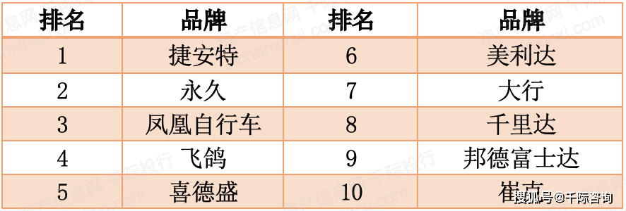 2024年中国自乐鱼(中国)体育行车行业研究报告(图12)