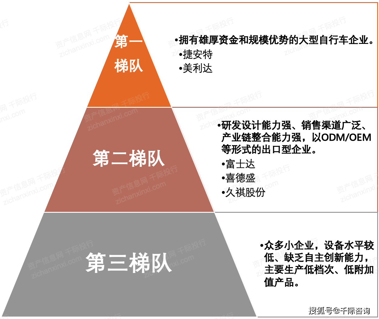 2024年中国自乐鱼(中国)体育行车行业研究报告(图11)