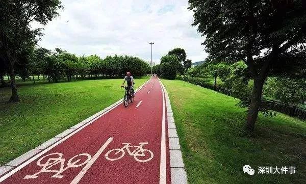 乐鱼(中国)体育深圳拟建高架独立自行车高速路！串联福田前海规划图曝光(图2)