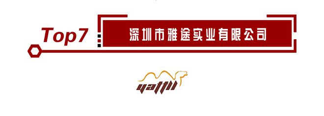 乐鱼(中国)体育榜单公布!2020年度电动轮椅十大品牌排名正式揭晓(图8)