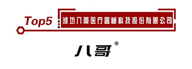 乐鱼(中国)体育榜单公布!2020年度电动轮椅十大品牌排名正式揭晓(图6)