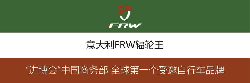 2020进博会中国自行车品牌排行辐轮王重温第三届进博leyu·乐鱼(中国)体育官(图3)