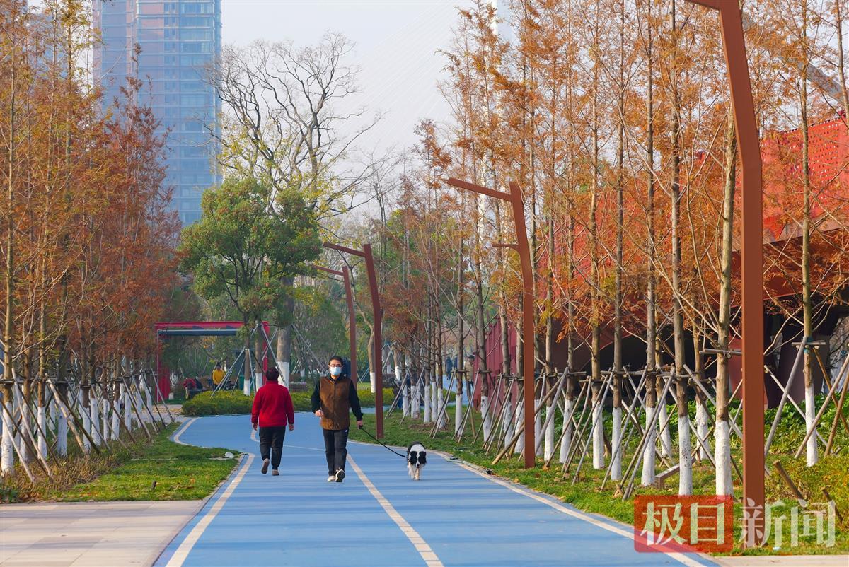 leyu·乐鱼(中国)体育官方网站武汉多元化完善慢行交通系统 让市民出行更舒心(图1)