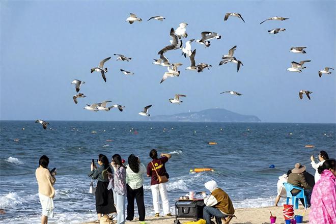 乐鱼体育最新版玩转夏日！2024威海荣成那香海旅游度假攻略之“玩遍那香海”(图1)